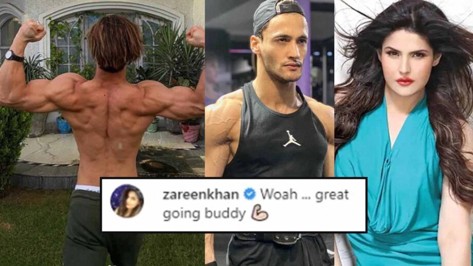 Asim Riaz flaunts his muscles, Zareen Khan comments 'Woah ... great going buddy' 1