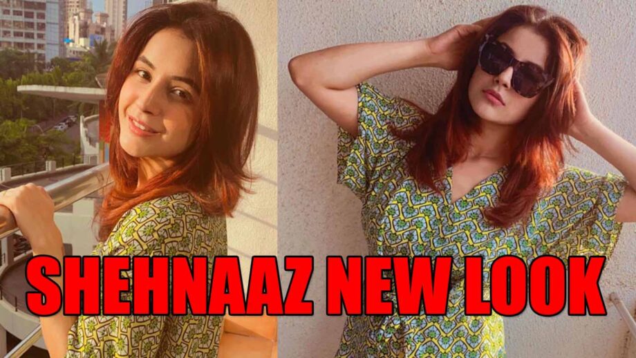 Bigg Boss 13 fame Shehnaaz Gill gets a NEW LOOK, check pictures