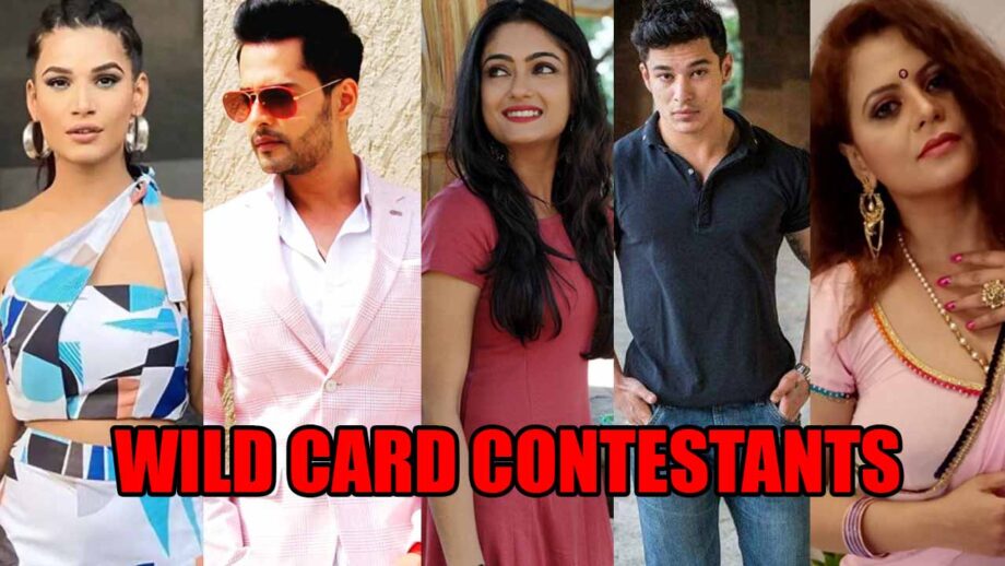Bigg Boss 14 Buzz: Naina Singh, Shardul Pandit, Rashmi Gupta, Pratik Sehajpal and Sapna bhabhi to enter as wild card contestants