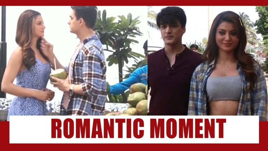 Check out: Urvashi Rautela's romantic moment with Mohsin Khan