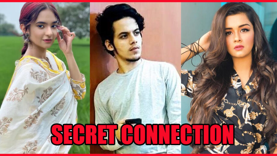 Checkout The Secret Connect Between Anushka Sen, Avneet Kaur And Darsheel Safary