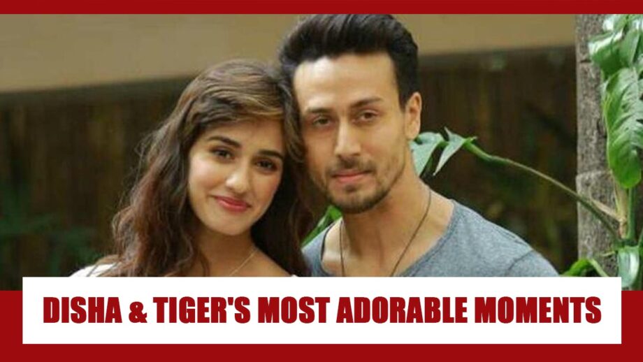 Disha Patani and Tiger Shroff's most adorable moments together during Covid-19 lockdown 2