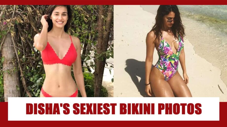 Disha Patani's sexiest bikini photos that went viral