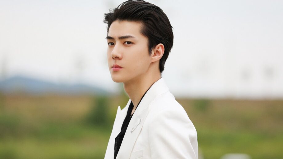 EXO's Sehun Lifestyle, Girlfriend And Dating History Revealed