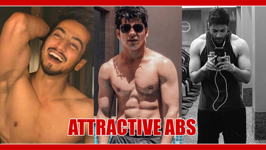Faisu Vs Siddharth Nigam Vs Ali Faizal: Who Has The Most Attractive Abs? 1