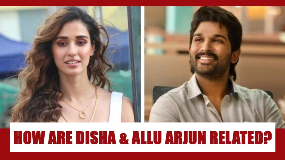 How are Disha Patani and Allu Arjun related? You will be AMAZED