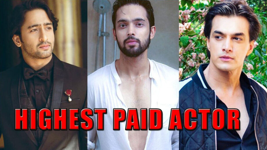 Mohsin Khan VS Parth Samthaan VS Shaheer Sheikh: Who’s The Highest Paid Television Actor?