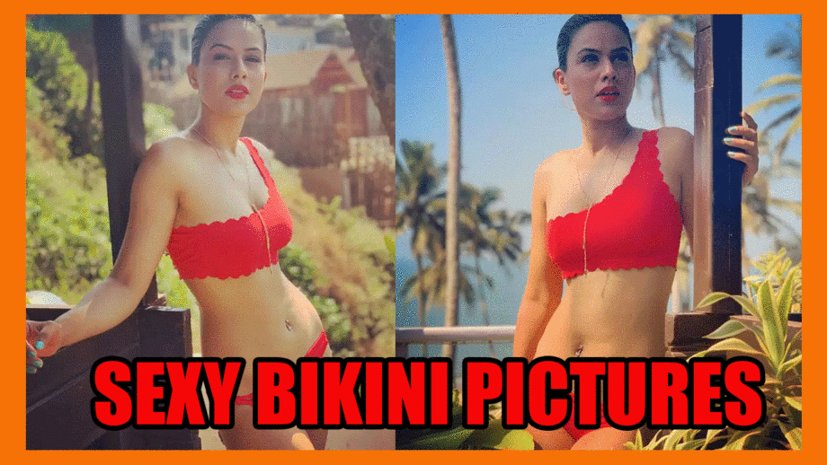 Nia Sharma Sizzled And Oozed Hotness In Bikinis