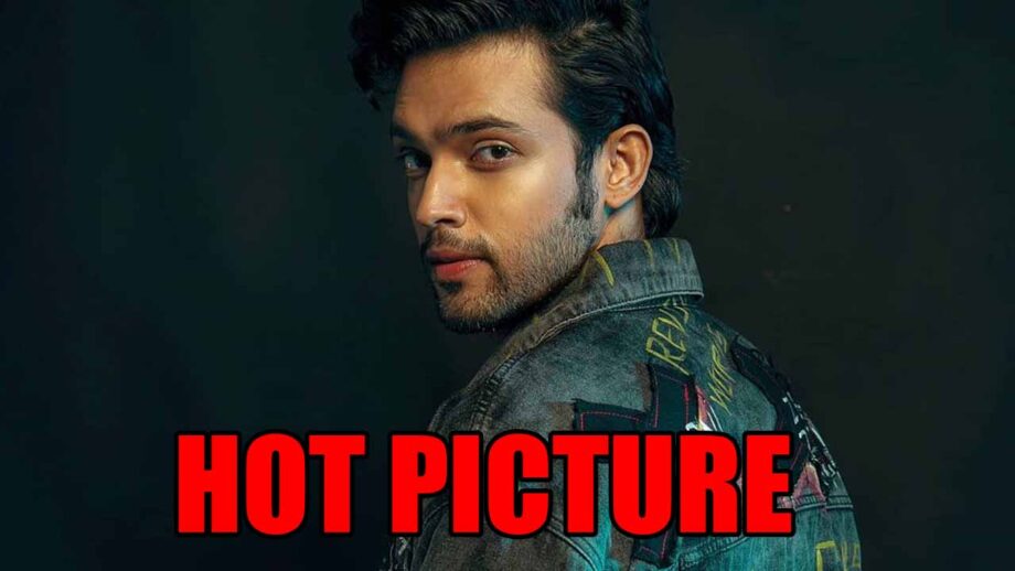Parth Samthaan shares latest hot picture, fans love it