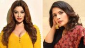 Payal Ghosh unconditionally apologises to Richa Chadha for her defamatory remarks