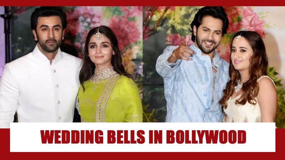 Ranbir Kapoor-Alia Bhatt or Varun Dhawan-Natasha Dalal: Whose wedding are you most excited about?