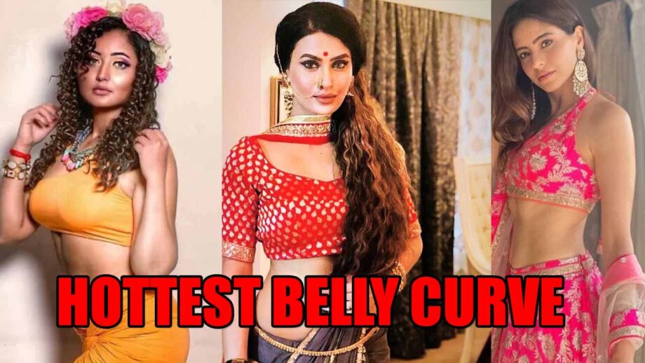 Rashami Desai, Pavitra Punia And Aamna Sharif's Hottest Belly Curve Photos That Went Viral On Internet