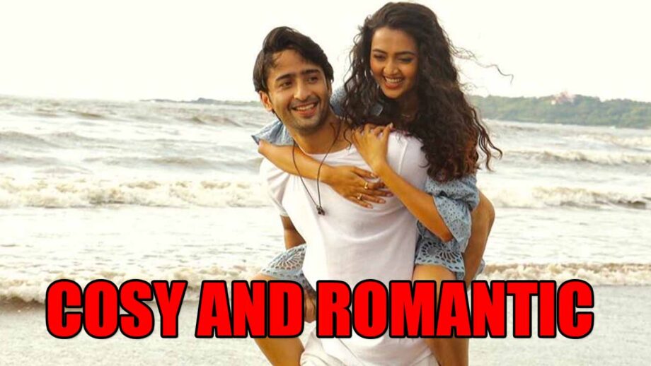 Shaheer Sheikh and Tejasswi Prakash get cosy and romantic on the beach