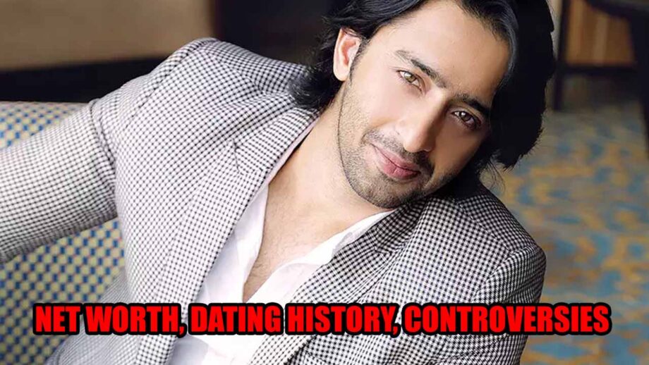 Shaheer Sheikh's Net Worth, Dating History And Controversies Revealed