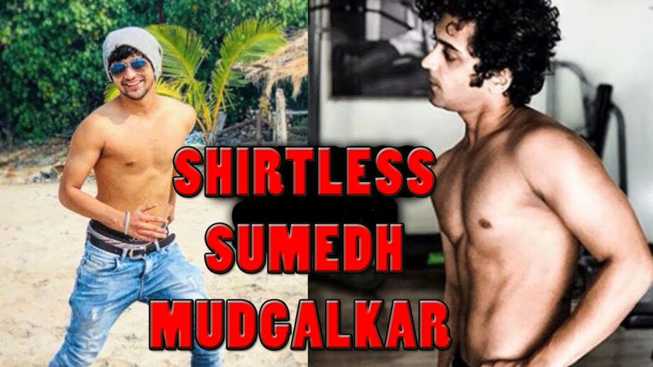 Sumedh Mudgalkar Sizzled And Oozed Hotness In Shirtless Look