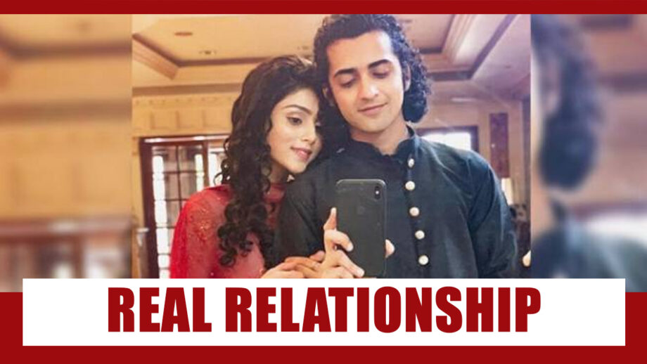 The Real Relationship Of Mallika Singh – Sumedh Mudgalkar Which Fans Need To Know