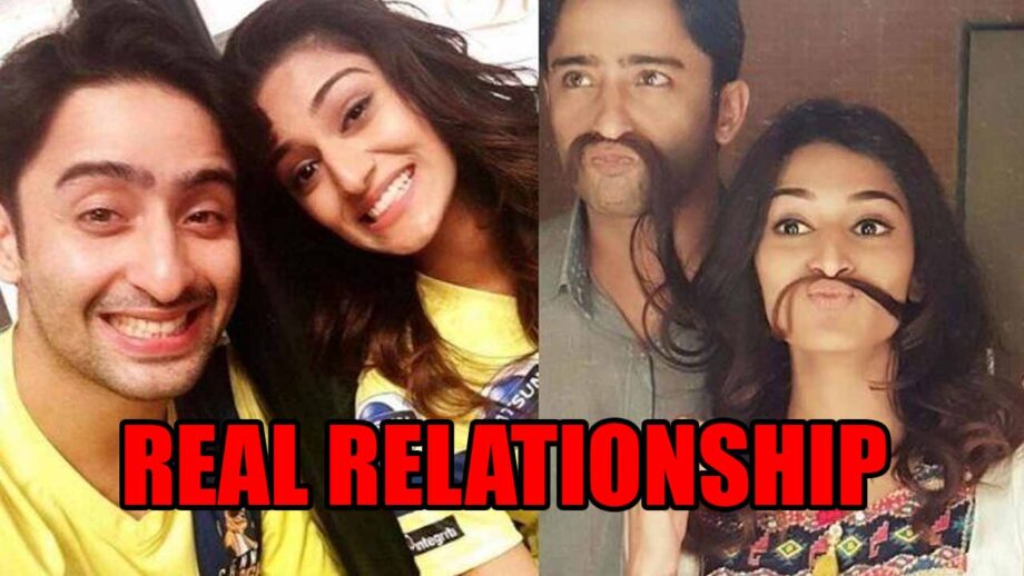 The real relationship of Shaheer Sheikh and Erica Fernandes