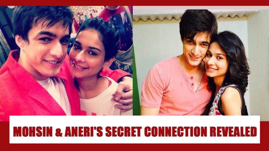 The Secret Connection Between Mohsin Khan And Aneri Vajani