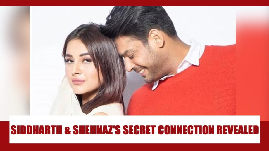 The Secret Connection Between Shehnaaz Gill And Siddharth Shukla