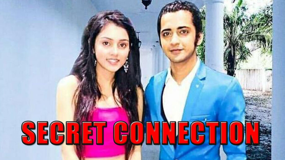 The Secret Connection Between Sumedh Mudgalkar And Mallika Singh