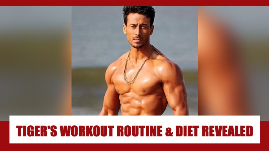 Tiger Shroff's Workout Routine And Healthy Diet REVEALED