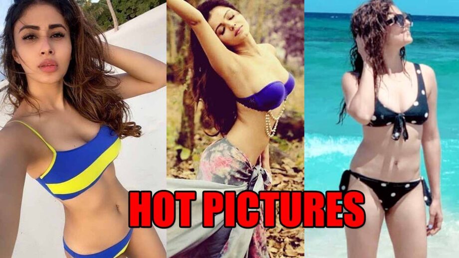TV Bahu's Mouni Roy, Rubina Dilaik And Drashti Dhami's Hot Pictures Will Make You Jealous