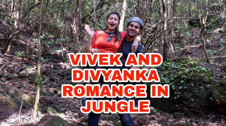 Vivek Dahiya and Divyanka Tripathi romance in the jungle