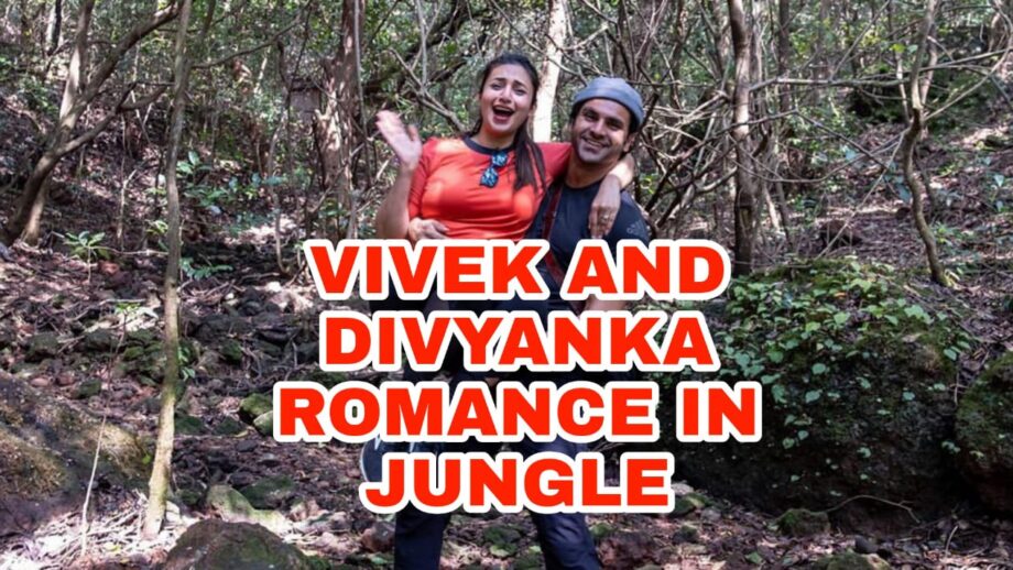 Vivek Dahiya and Divyanka Tripathi romance in the jungle