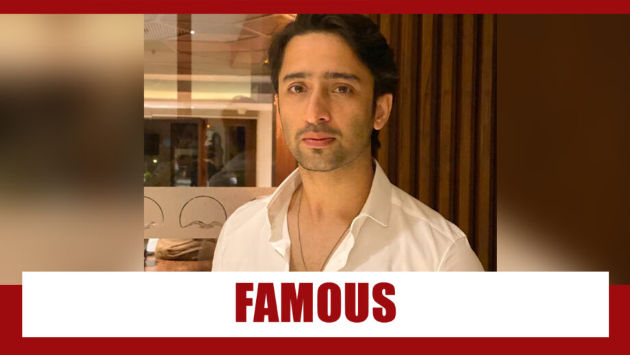 Why Is Shaheer Sheikh So Famous In Indonesia?