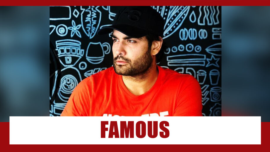 Why Is Vivian Dsena So Famous?