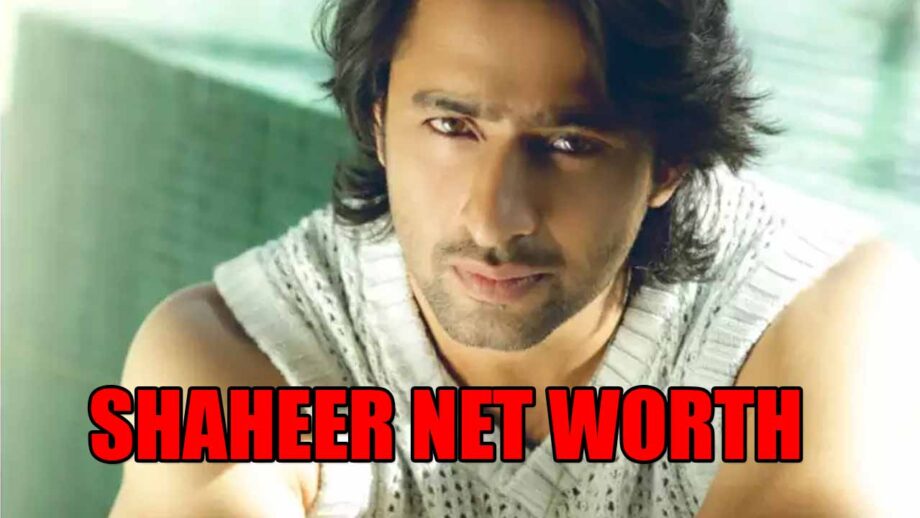 WOW: Net Worth Of Shaheer Sheikh Will SHOCK You