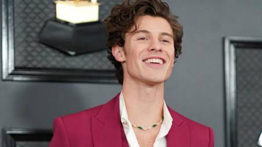 5 Shawn Mendes's Most Famous And Popular Music