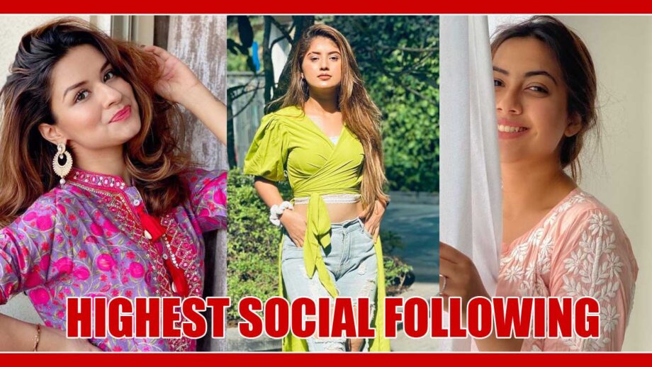 Arishfa Khan Vs Reem Shaikh Vs Avneet Kaur: Which Star Has Highest Social Following?