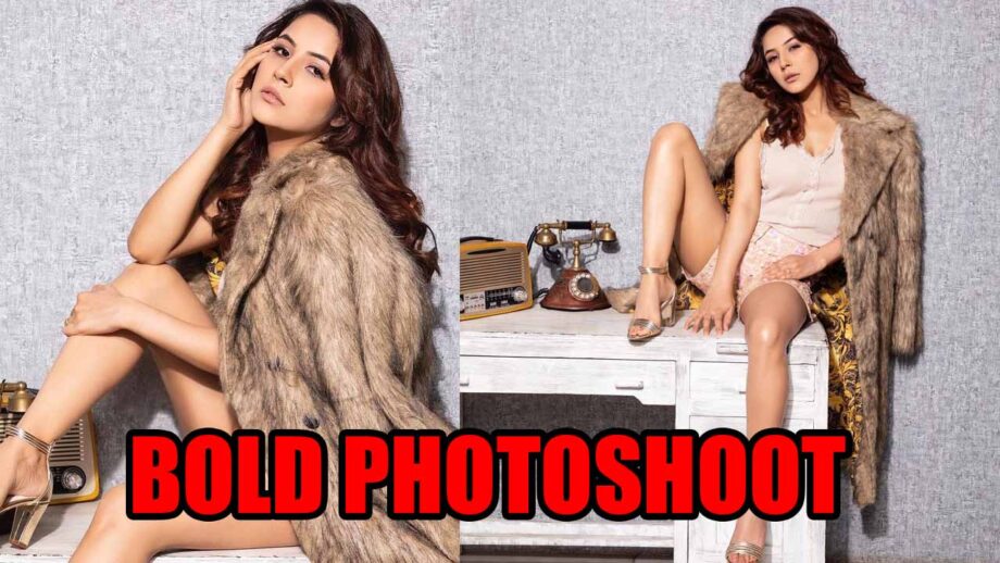 Bigg Boss 13 fame Shehnaaz Gill's bold photoshoot goes viral