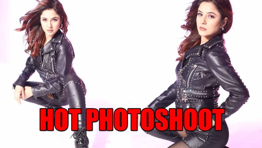 Bigg Boss fame Shehnaaz Gill's hot photoshoot pictures go viral