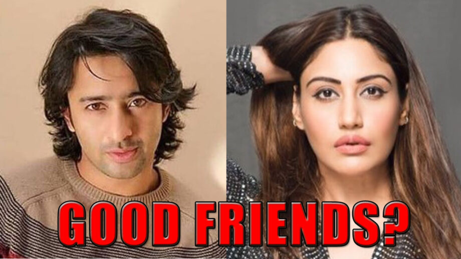 Can Surbhi Chandna And Shaheer Sheikh Be Good Friends?