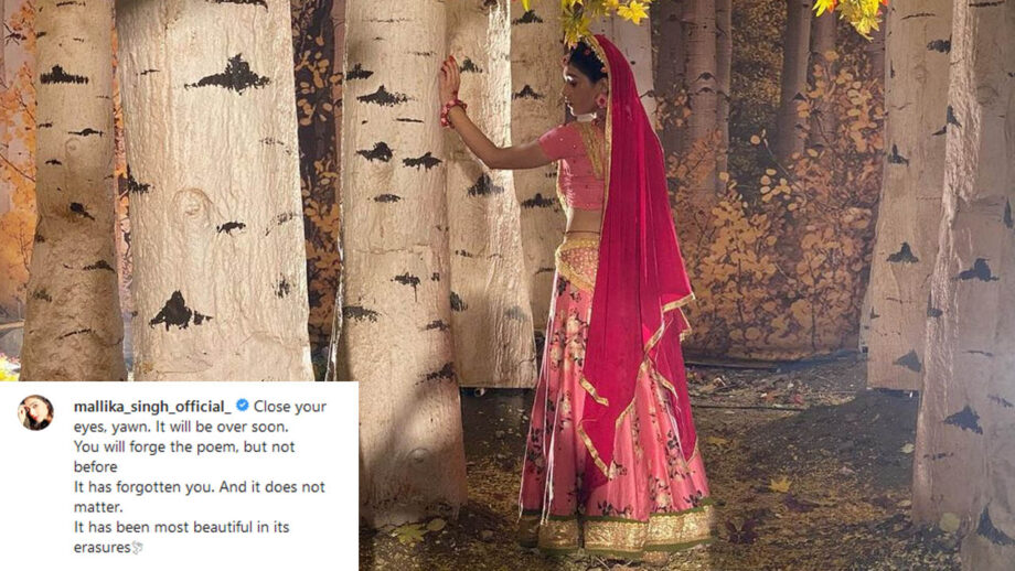 Close your eyes, yawn. It will be over soon: RadhaKrishn’s Mallika Singh shares rare moment from the sets