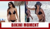 Demi Moore Vs Salma Hayek: Attractive Bikini Moment 796341