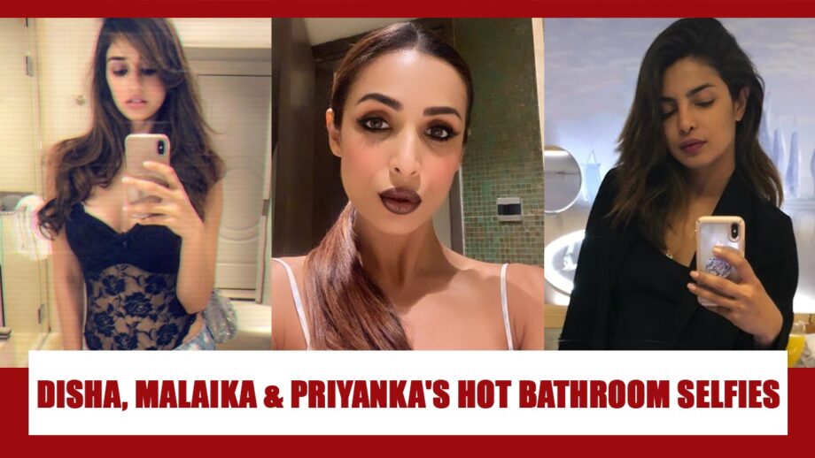 Disha Patani, Malaika Arora And Priyanka Chopra’s Bathroom Selfies Are Too Hot To Handle 3