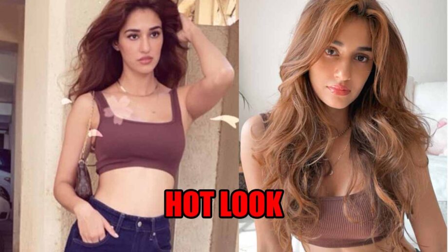 Disha Patani stuns in latest picture wearing brown bralette