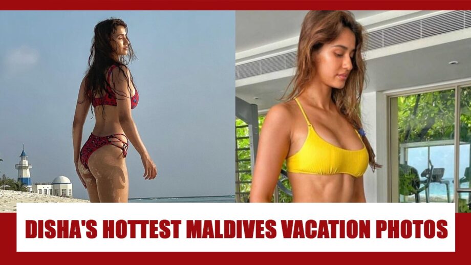Disha Patani's HOTTEST bikini photos from her Maldives vacation that went VIRAL