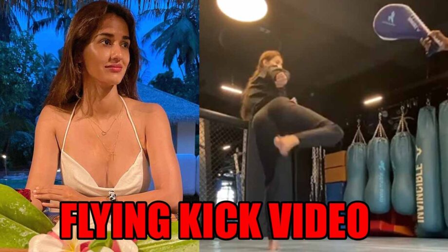Disha Patani's latest flying kick video is the best thing on the internet today