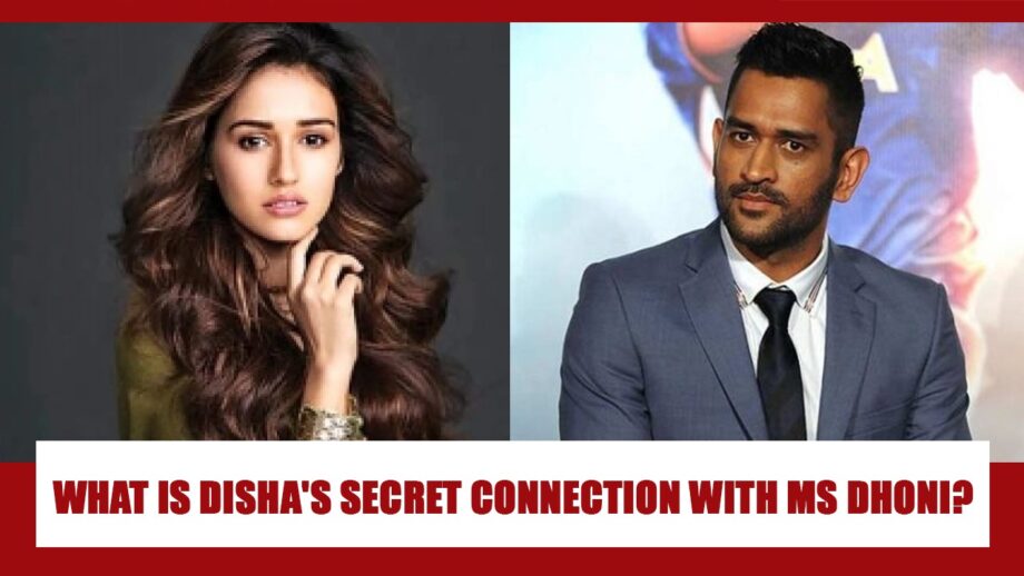 Disha Patani’s secret relationship with Dhoni