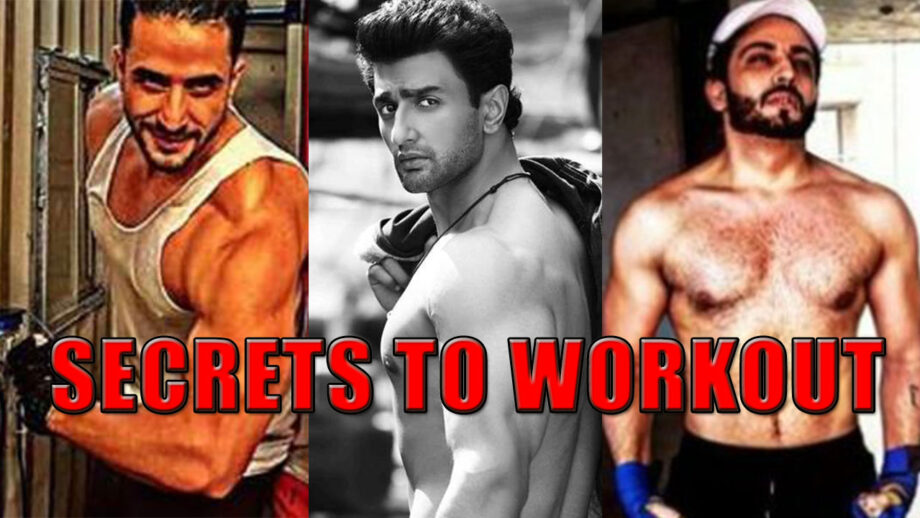 Fitness Secrets: Dheeraj Dhoopar, Nishant Singh Malkani, And Aly Goni Share Their Secrets To Workout Success