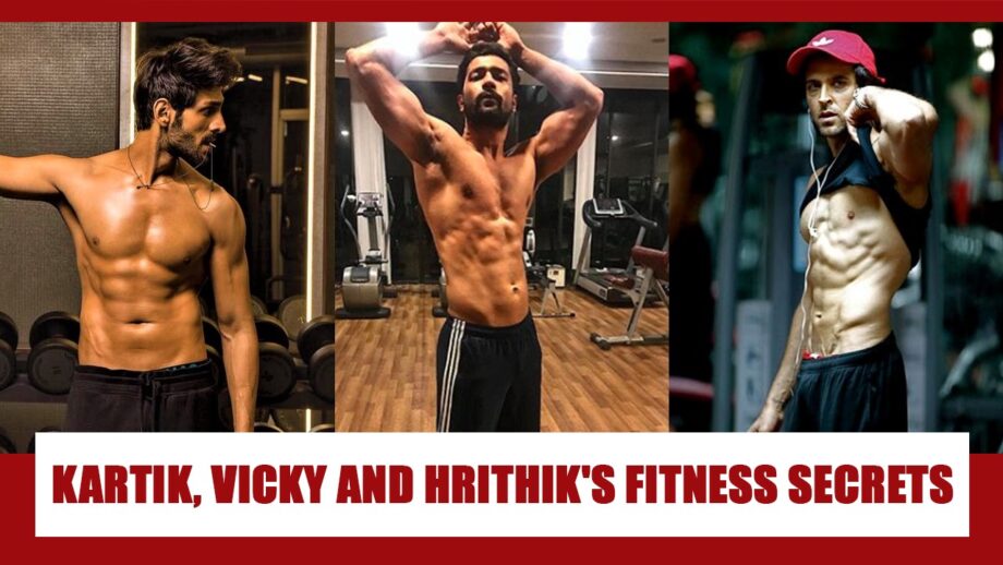 Fitness Secrets: Kartik Aaryan, Hrithik Roshan And Vicky Kaushal Share Their Secrets Of Healthy Workout