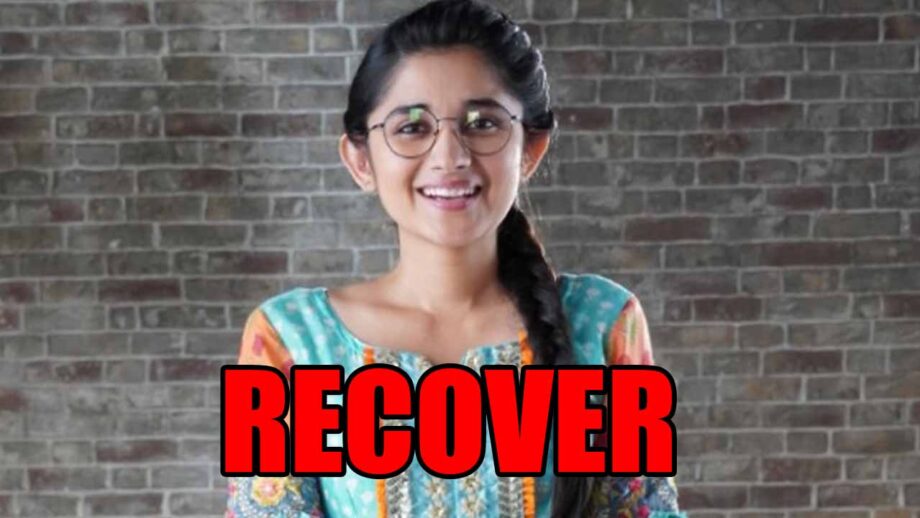 Guddan Tumse Na Ho Payega spoiler alert: Guddan to recover