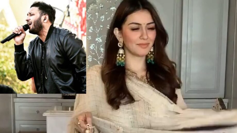 Hansika Motwani's rare and unknown connection with Ash King