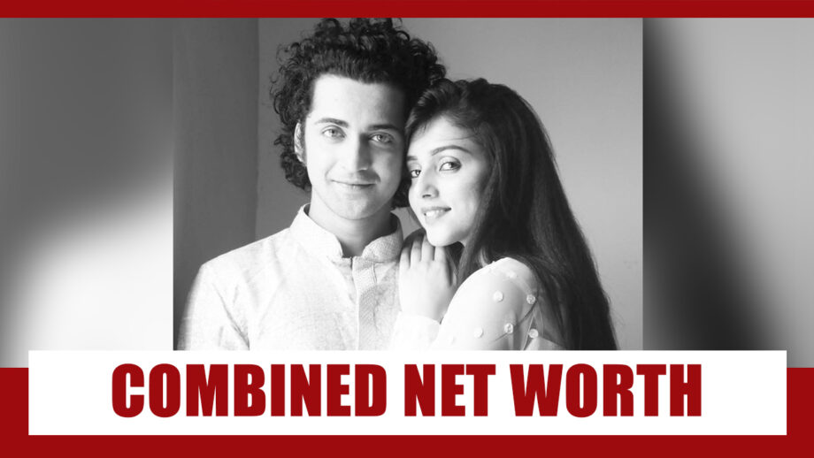 How Rich Are Sumedh Mudgalkar And Mallika Singh? Know Their Combined Net Worth
