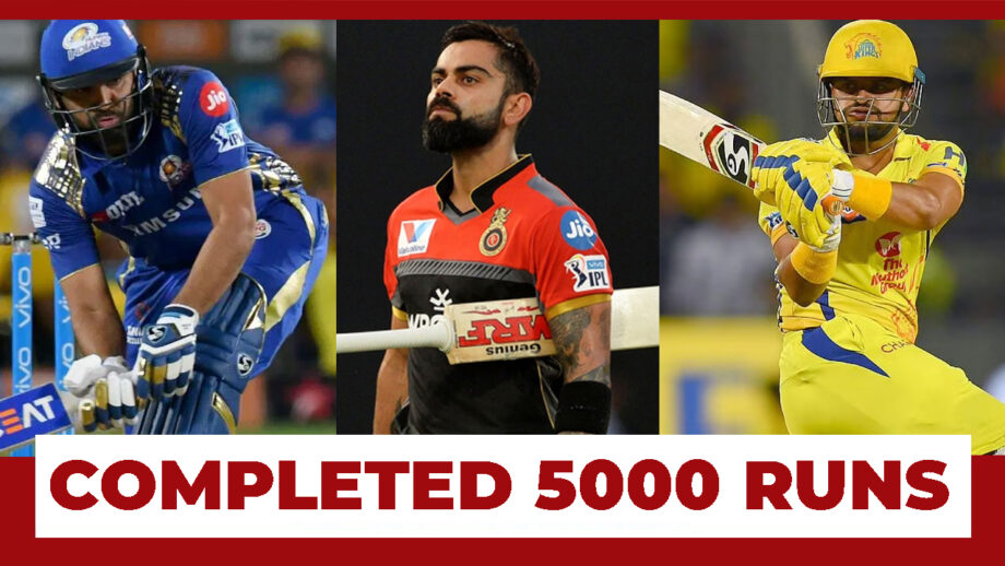 IPL 2020: Top 3 Cricketers Who Completed 5000 Runs In IPL History