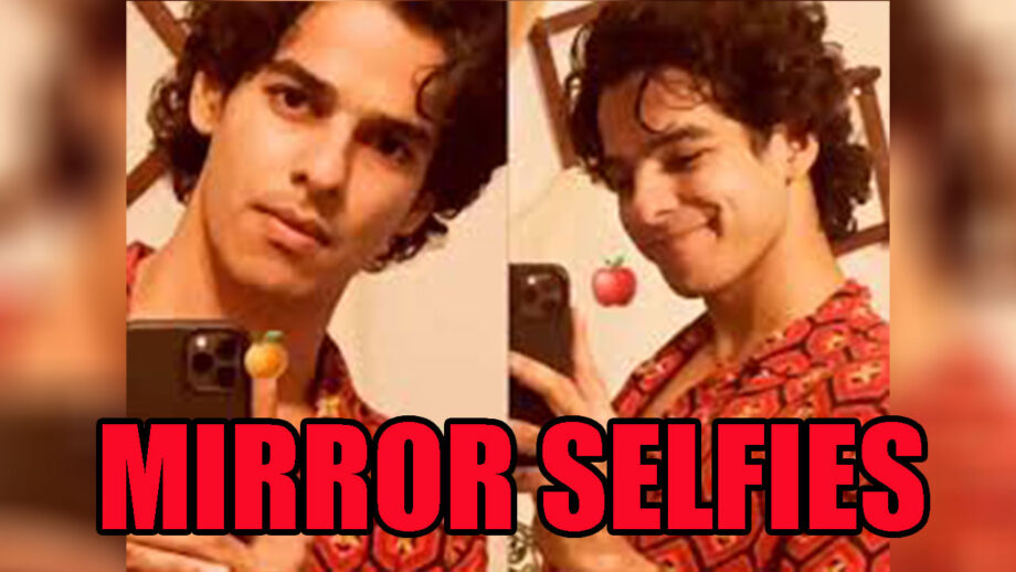 Ishaan Khatter's Mirror Selfies Are Too Cute